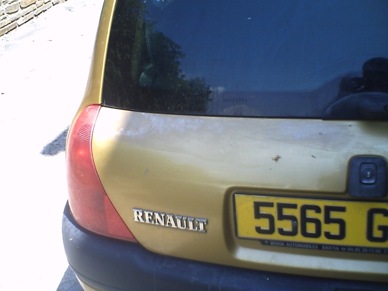    [ Renault CLIO 2 RTX ESS an 1998 ] peinture qui blanchit 100-0011
