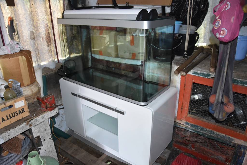 [VEND] Aquarium OSAKA Fluval 260L [78] Dsc_9510