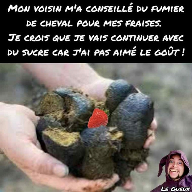 Humour en image - Page 3 34659310