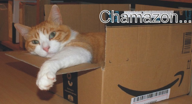 Chamazon... Chamaz12