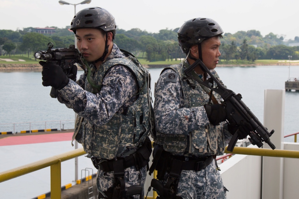 Singapore Digitals and some history of Singapore Combat Dress 11103210