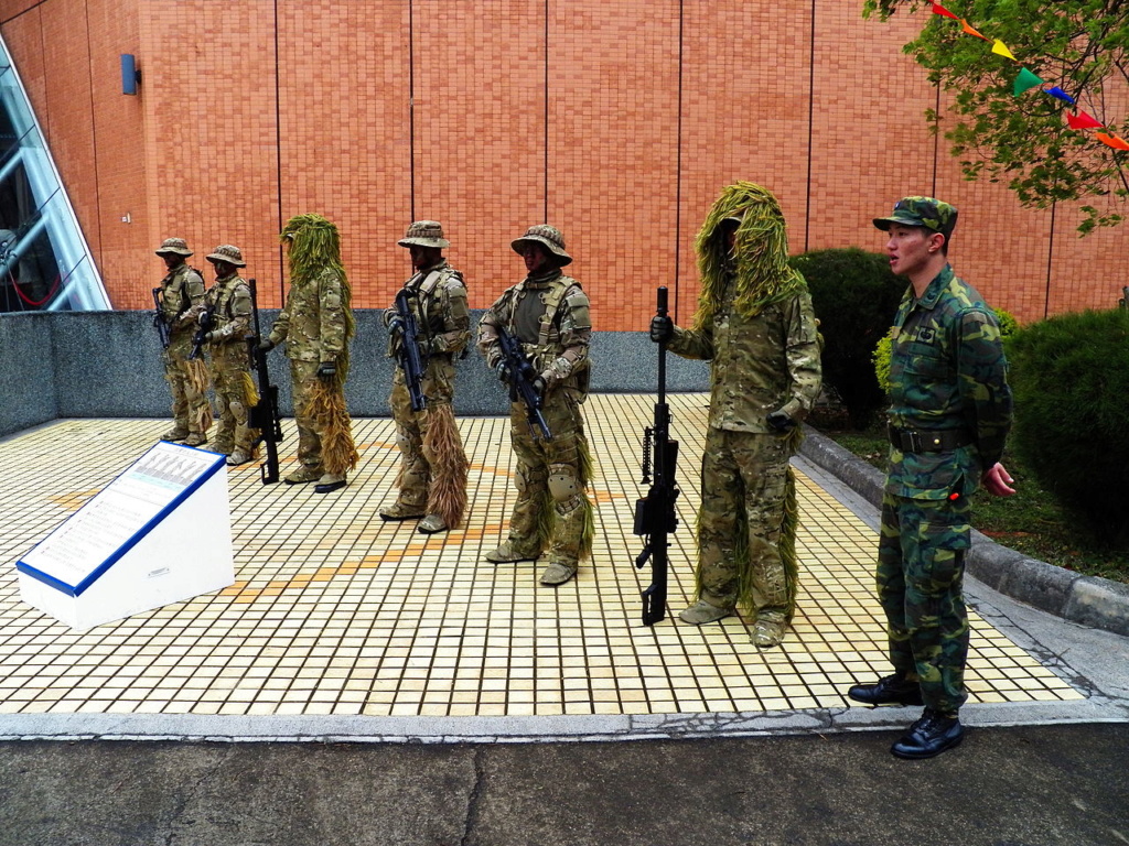 Examining Some Taiwanese Camos 1280px24