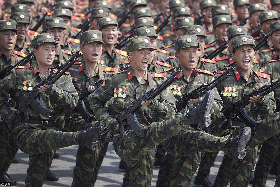 DPRK KPA Woodland/Leaf Camouflage Kepi and Cap Badge 14922410