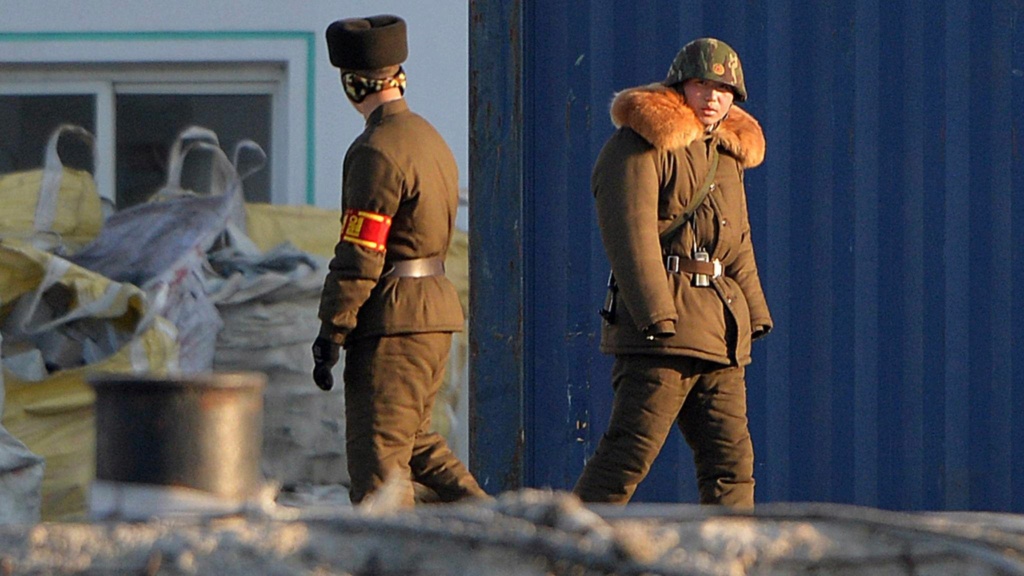 DPRK KPA Woodland/Leaf Camouflage Kepi and Cap Badge 15892810