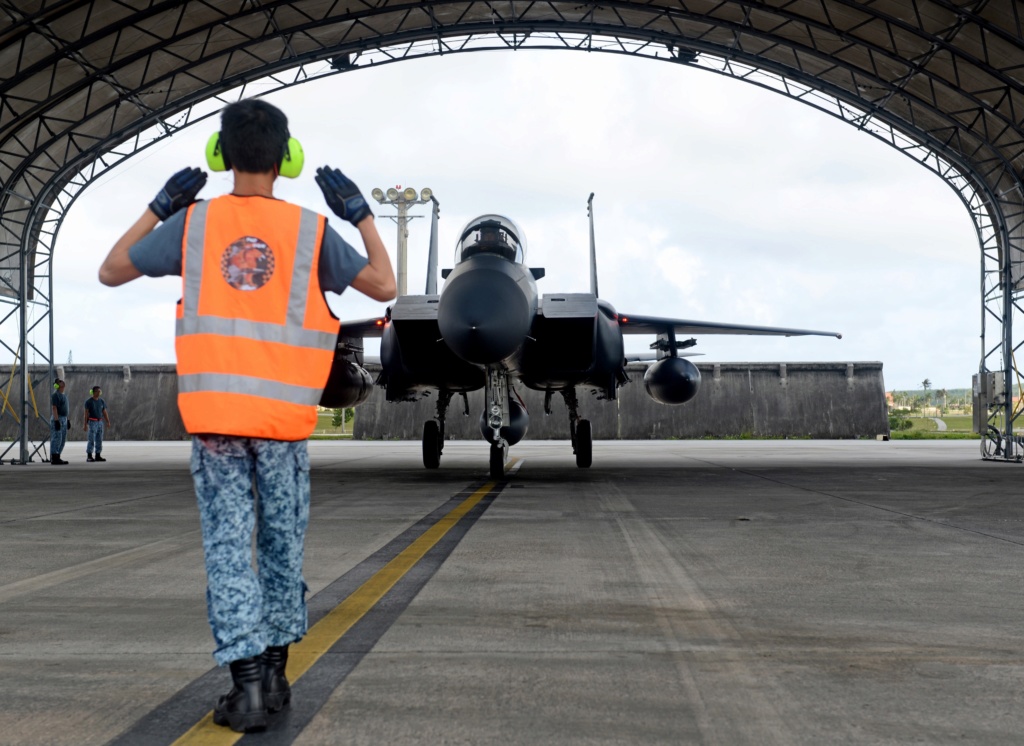 Singapore Digitals and some history of Singapore Combat Dress 17041010