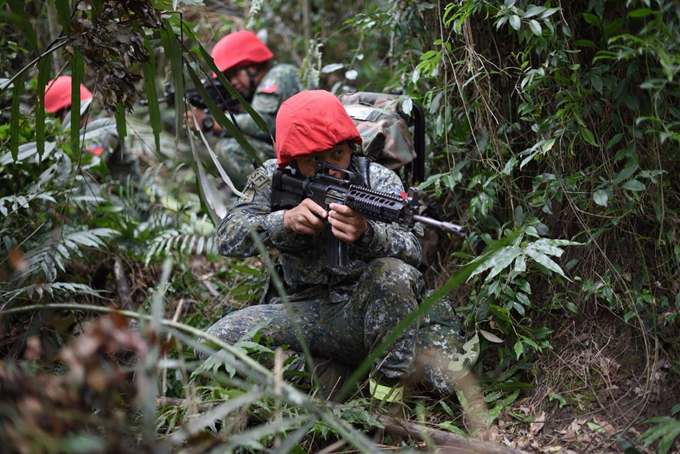 Examining Some Taiwanese Camos 45282610