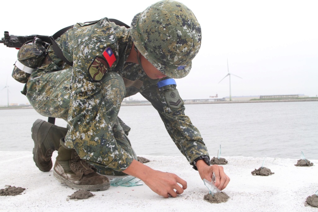 Examining Some Taiwanese Camos 61378110