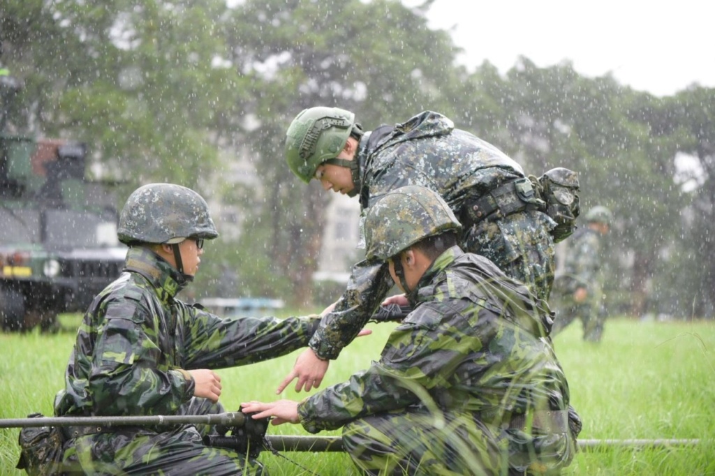 Examining Some Taiwanese Camos 65859310