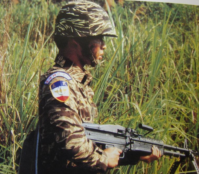 Examining Some Taiwanese Camos 66265610