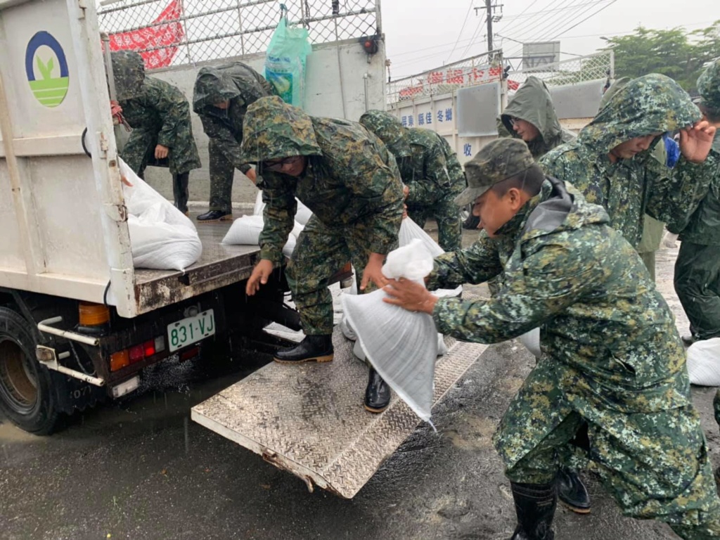 Examining Some Taiwanese Camos 68884210