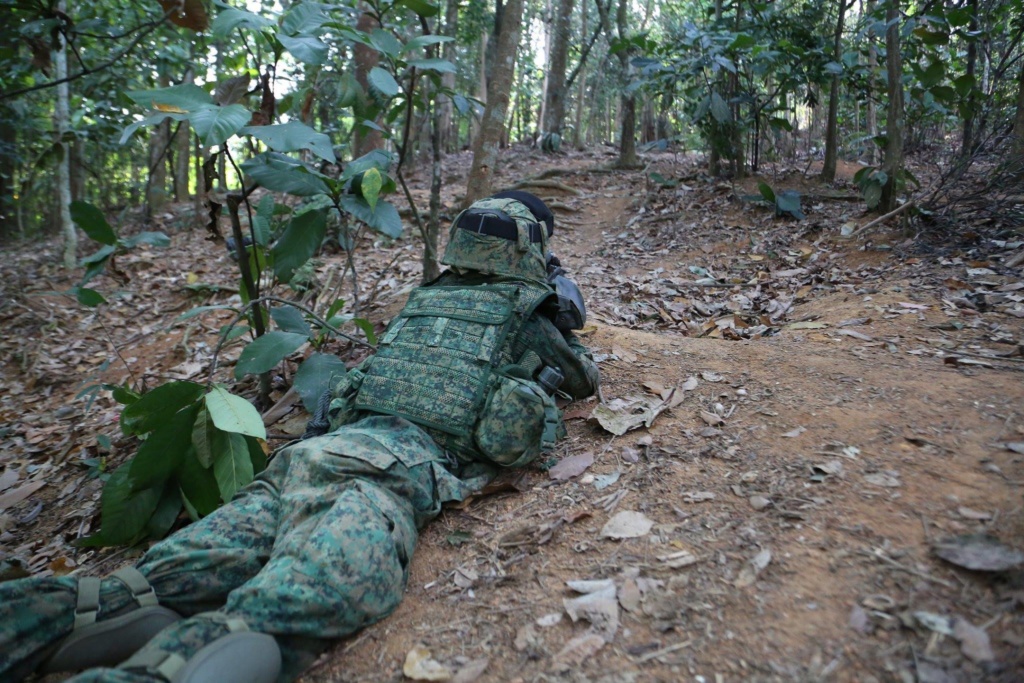 Singapore Digitals and some history of Singapore Combat Dress 69169810