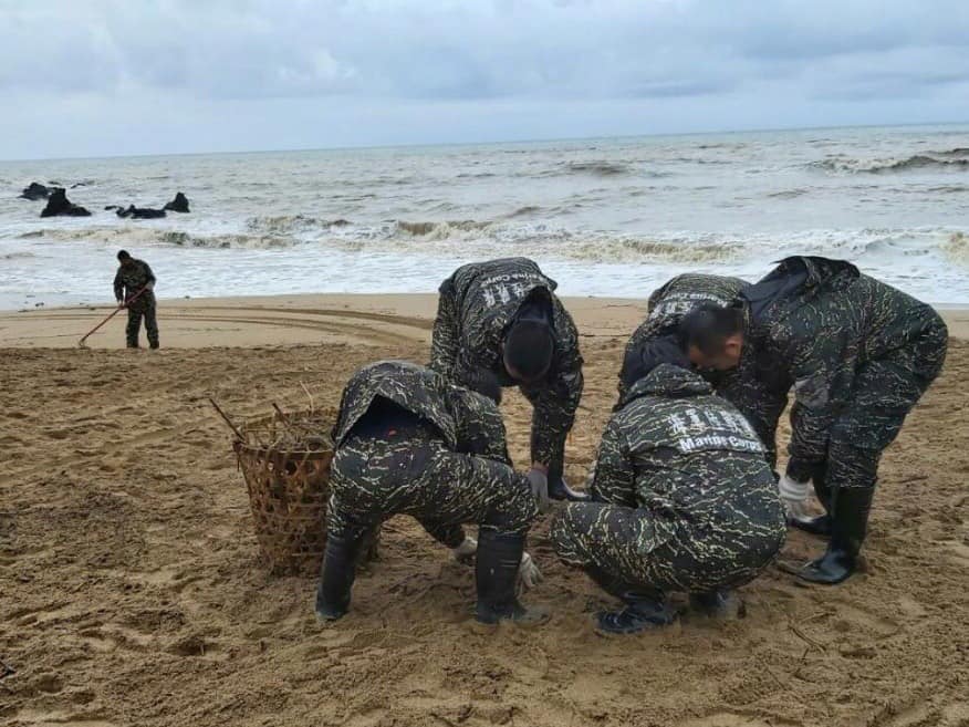 Examining Some Taiwanese Camos 69629710