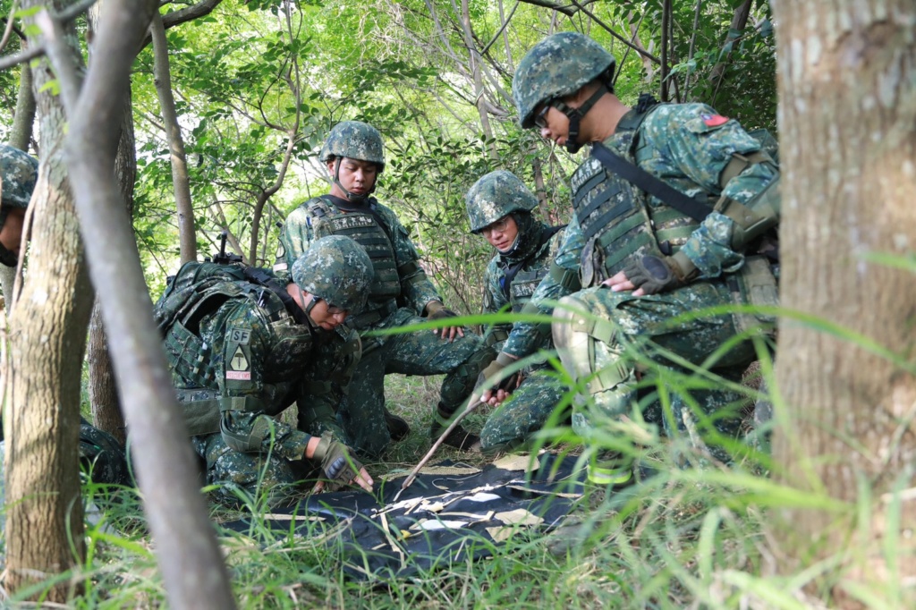 Examining Some Taiwanese Camos 71680710