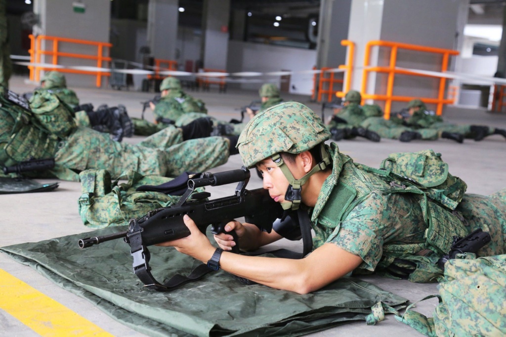 Singapore Digitals and some history of Singapore Combat Dress 80381110