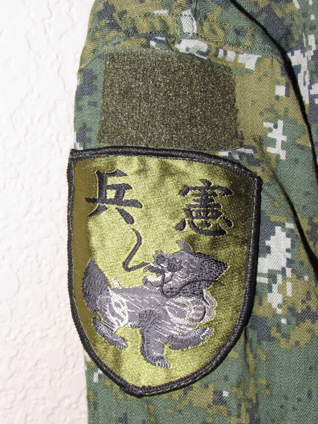 Examining Some Taiwanese Camos Aa_bin10