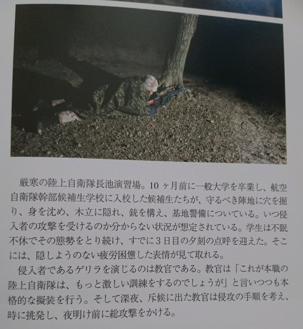 JASDF Trial Desert Camouflage Air_se12