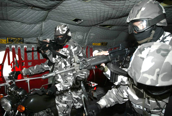 Examining Some Taiwanese Camos Anti_t11