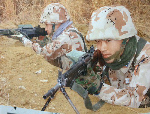 JASDF Trial Desert Camouflage Crfcgy10