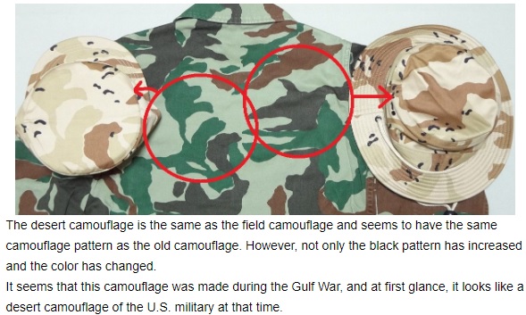 JASDF Trial Desert Camouflage Desert10