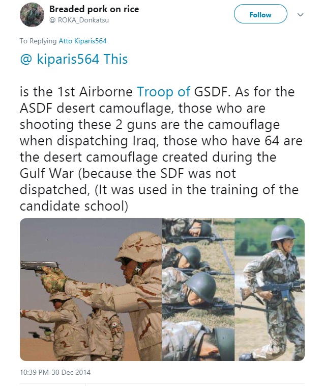 JASDF Trial Desert Camouflage Desert11