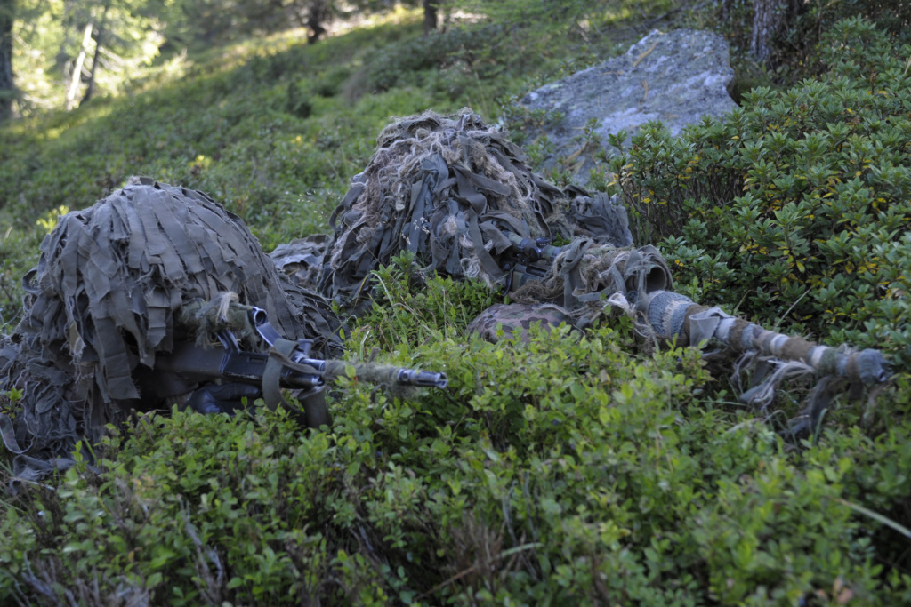 Some Austrian peadot, one unknown parka Hasiki11