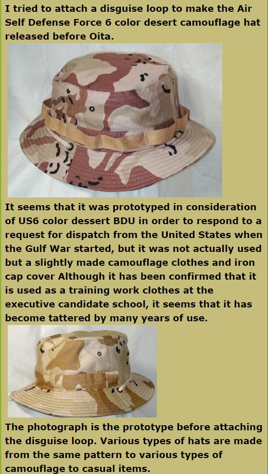 JASDF Trial Desert Camouflage Info_o10