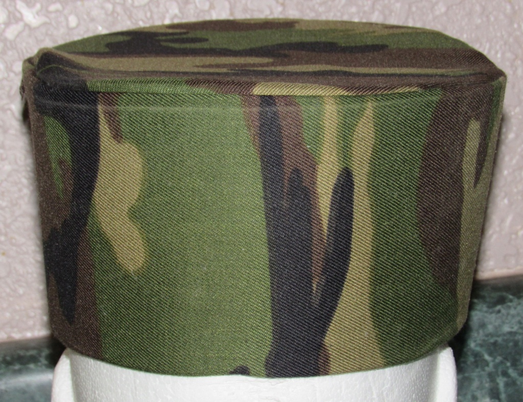 DPRK KPA Woodland/Leaf Camouflage Kepi and Cap Badge North_17