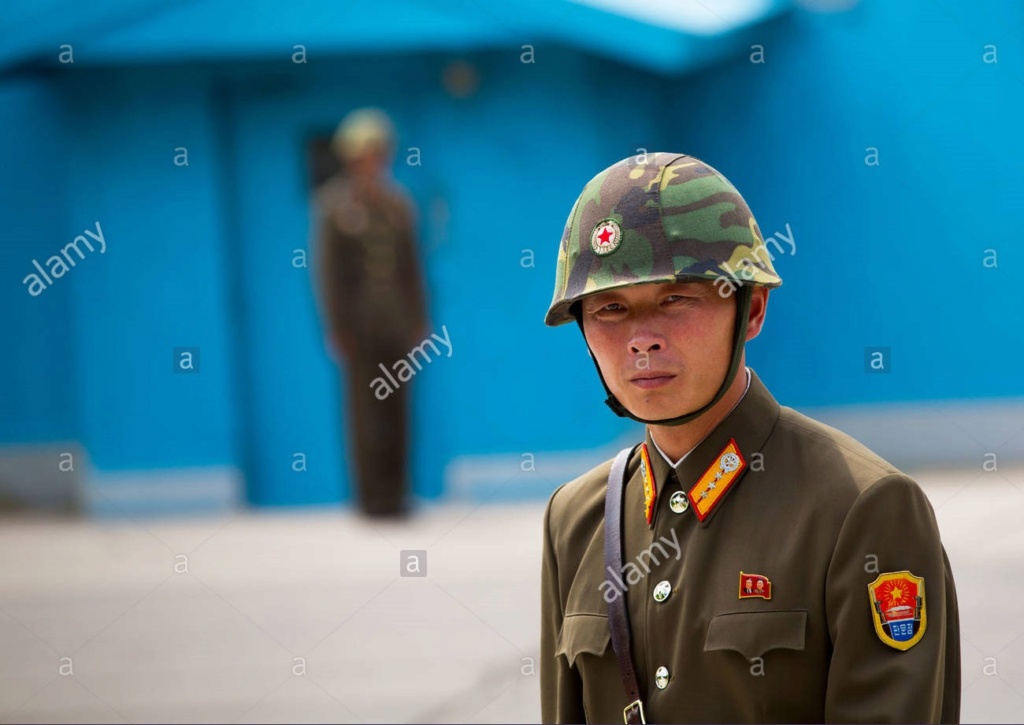 DPRK KPA Woodland/Leaf Camouflage Kepi and Cap Badge North_23