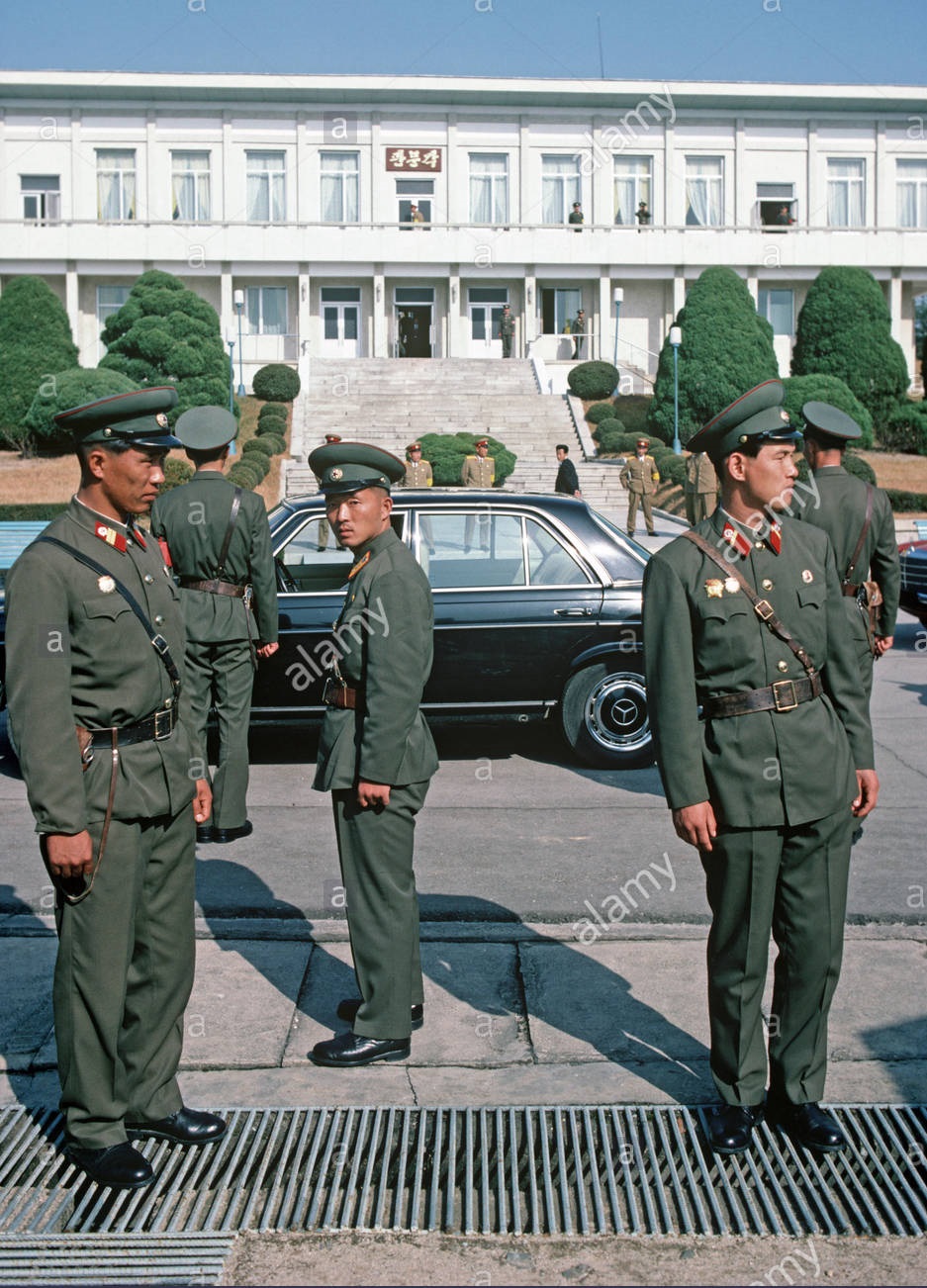 DPRK KPA Woodland/Leaf Camouflage Kepi and Cap Badge North_31