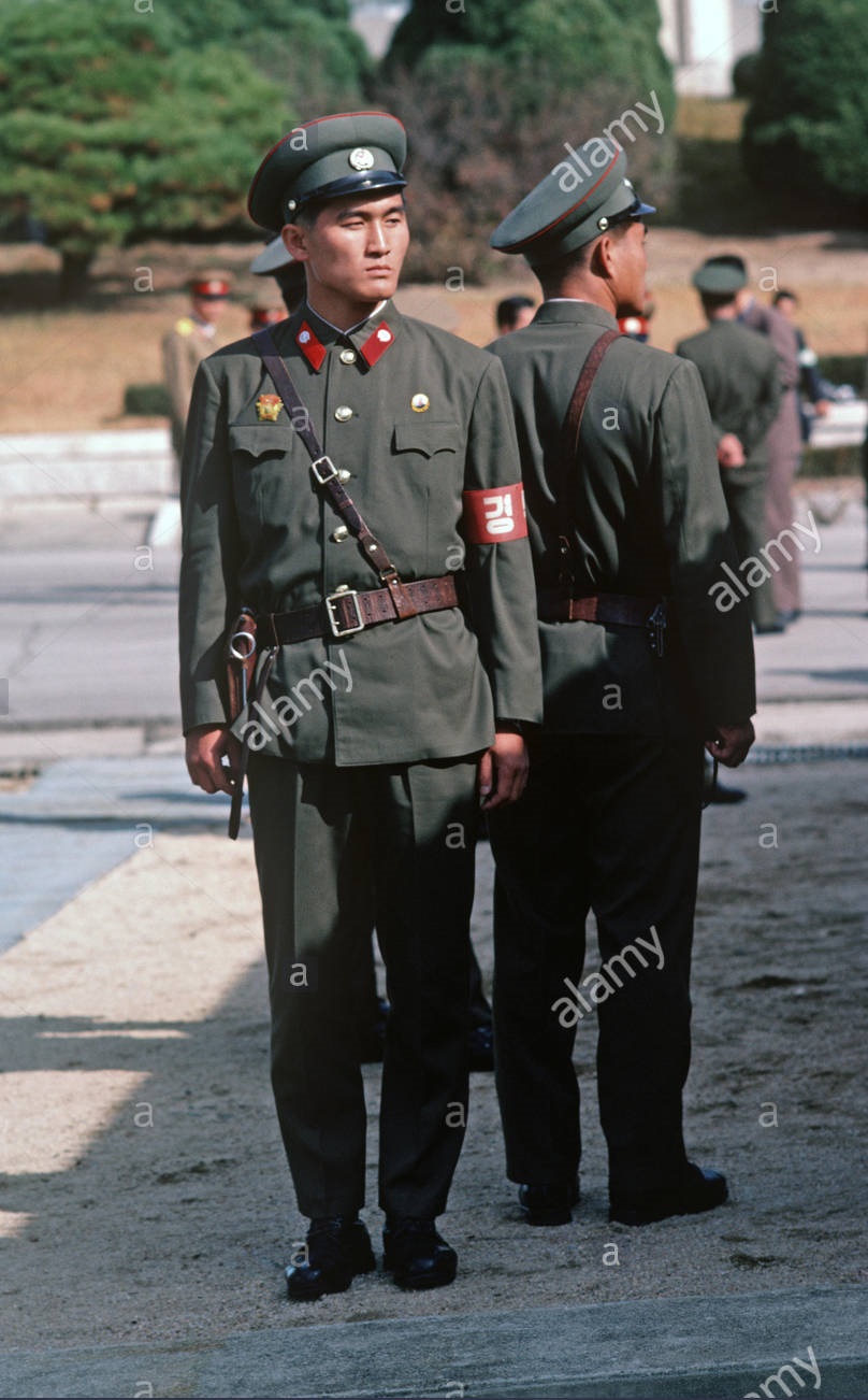 DPRK KPA Woodland/Leaf Camouflage Kepi and Cap Badge North_32