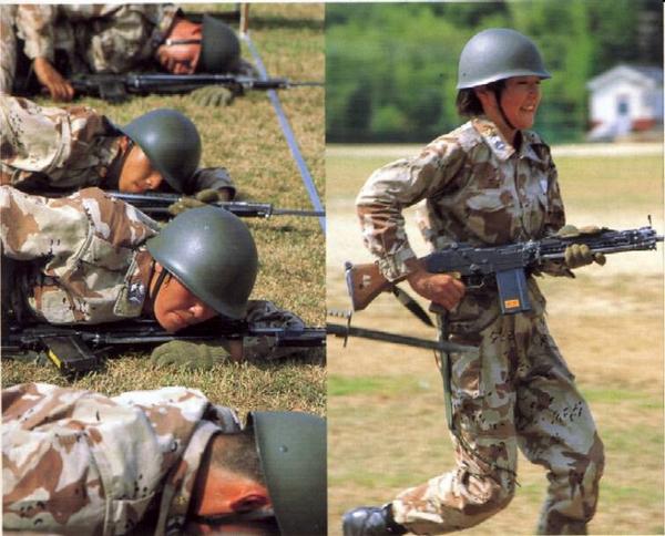 JASDF Trial Desert Camouflage Novemb10