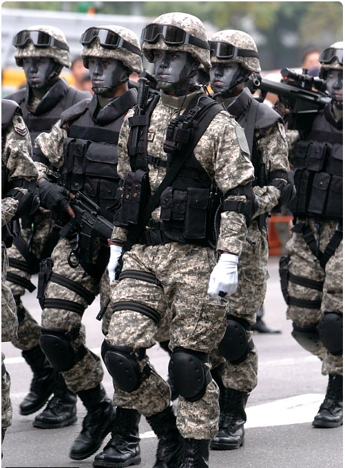 Examining Some Taiwanese Camos Opfor_17
