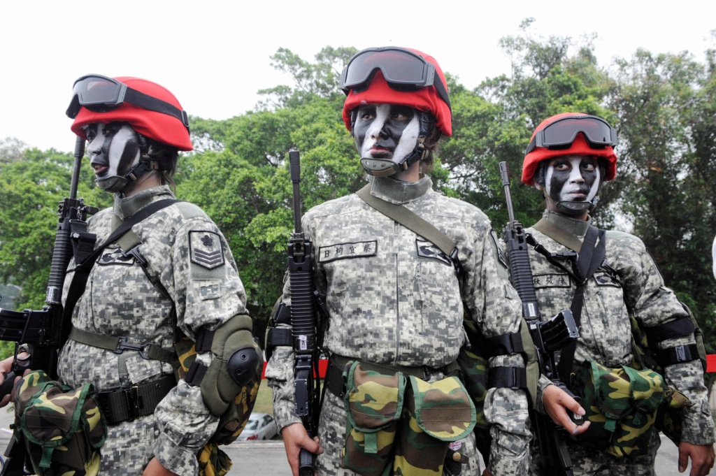 Examining Some Taiwanese Camos The_na10