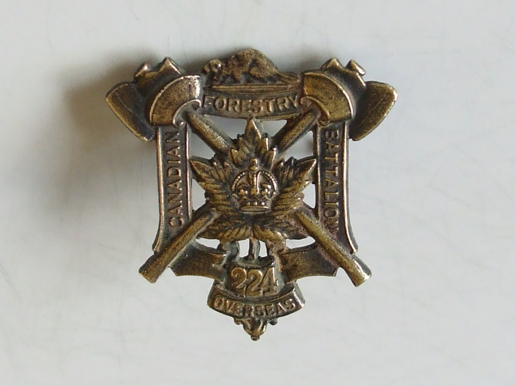 Badges de l'armée Britannique et du Commonwealth - Page 5 224th_16