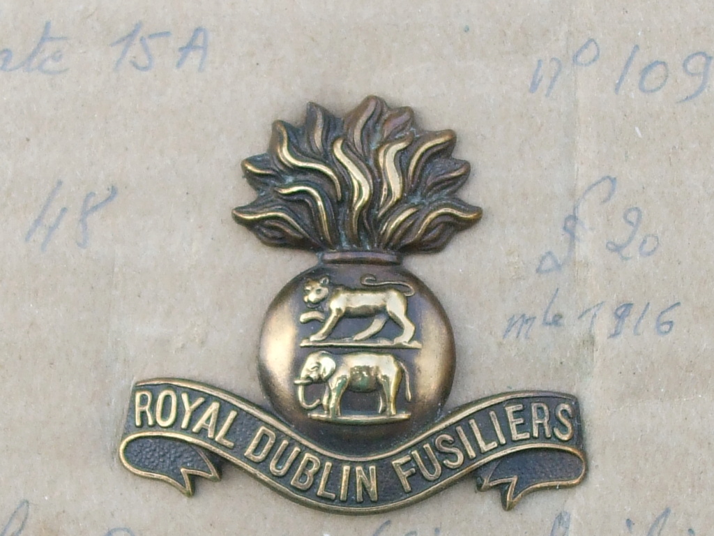 Royal Dublin Fusiliers RDF Irish Regiment 68_roy11