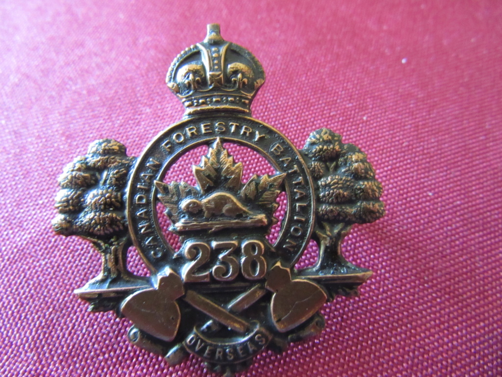 Badges de l'armée Britannique et du Commonwealth - Page 5 Img_0218
