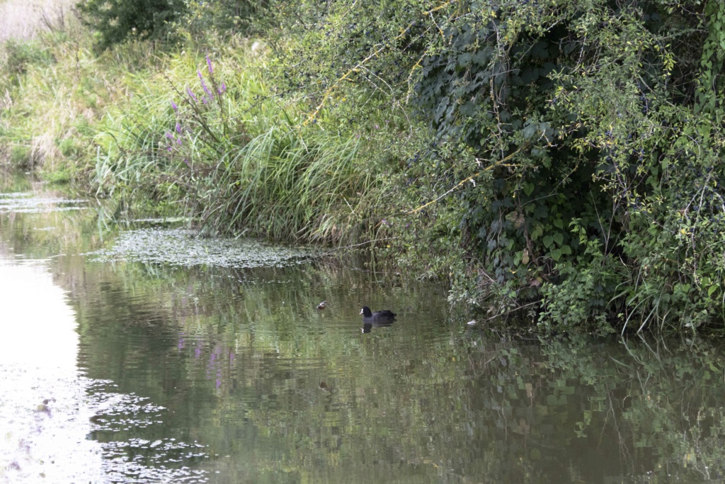 le pêcheur en train de pêcher  Le_par22