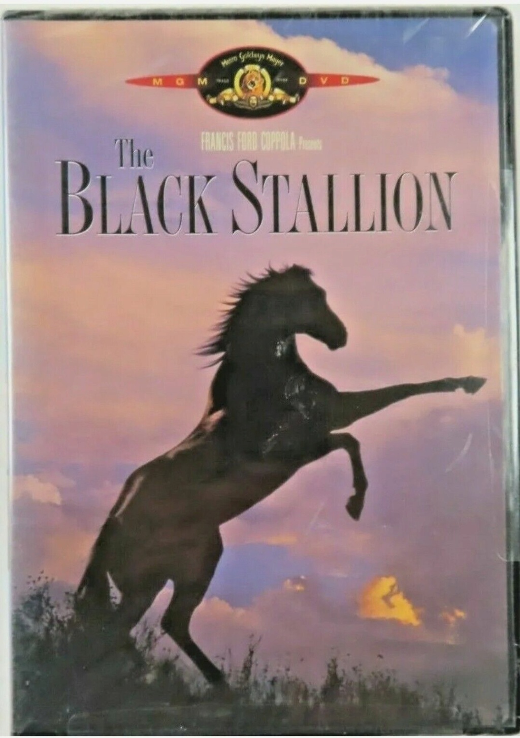 Horsepower, torque, cubic inches and the Black Stallion Black_15