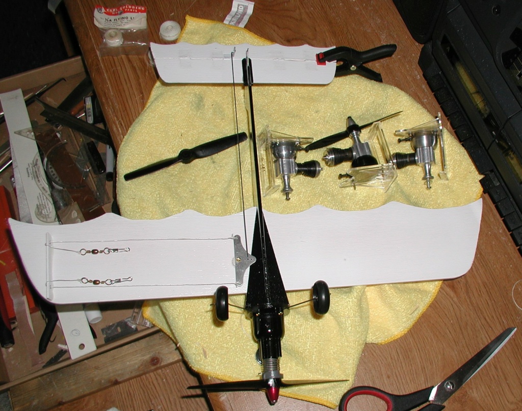 Finished - Cox BW airplane P1010422