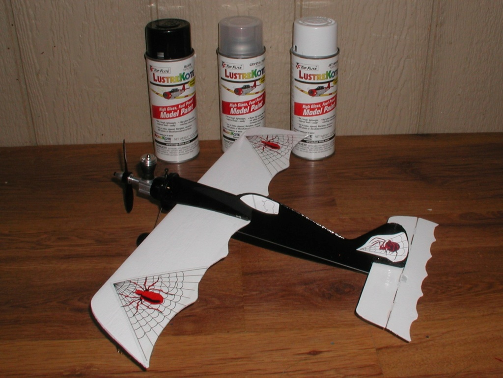 Finished - Cox BW airplane P1010427