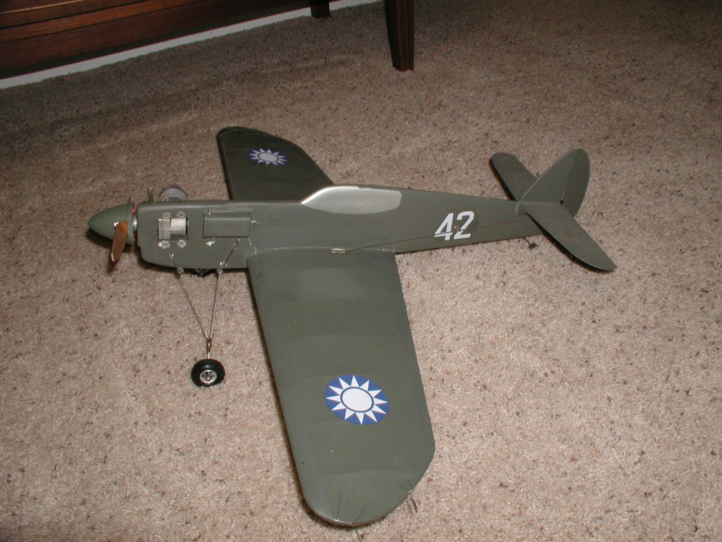 P-40 Flying Tiger Restore or Keep as Survivor P1012372