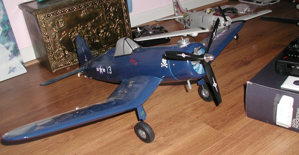 Sentimental P-40 P1012409