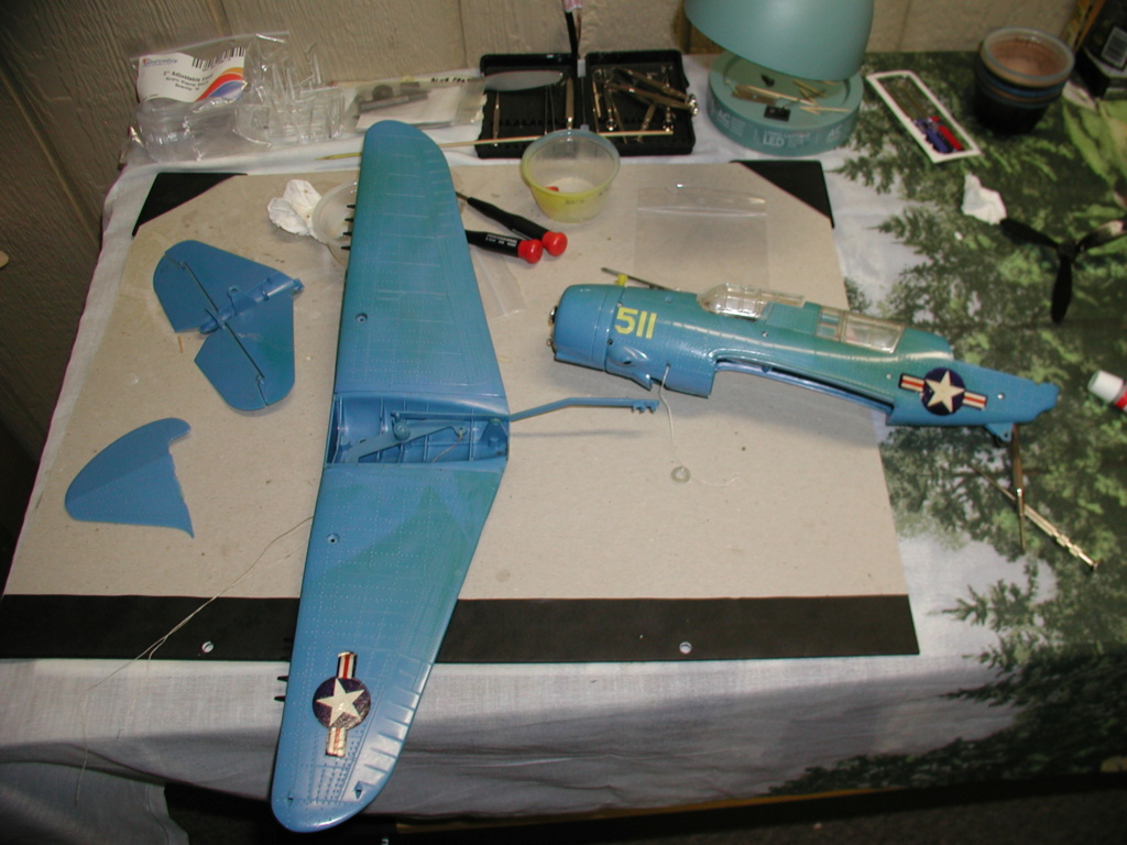 Cox Curtis Wright SB2C "Helldiver" finished P1013320