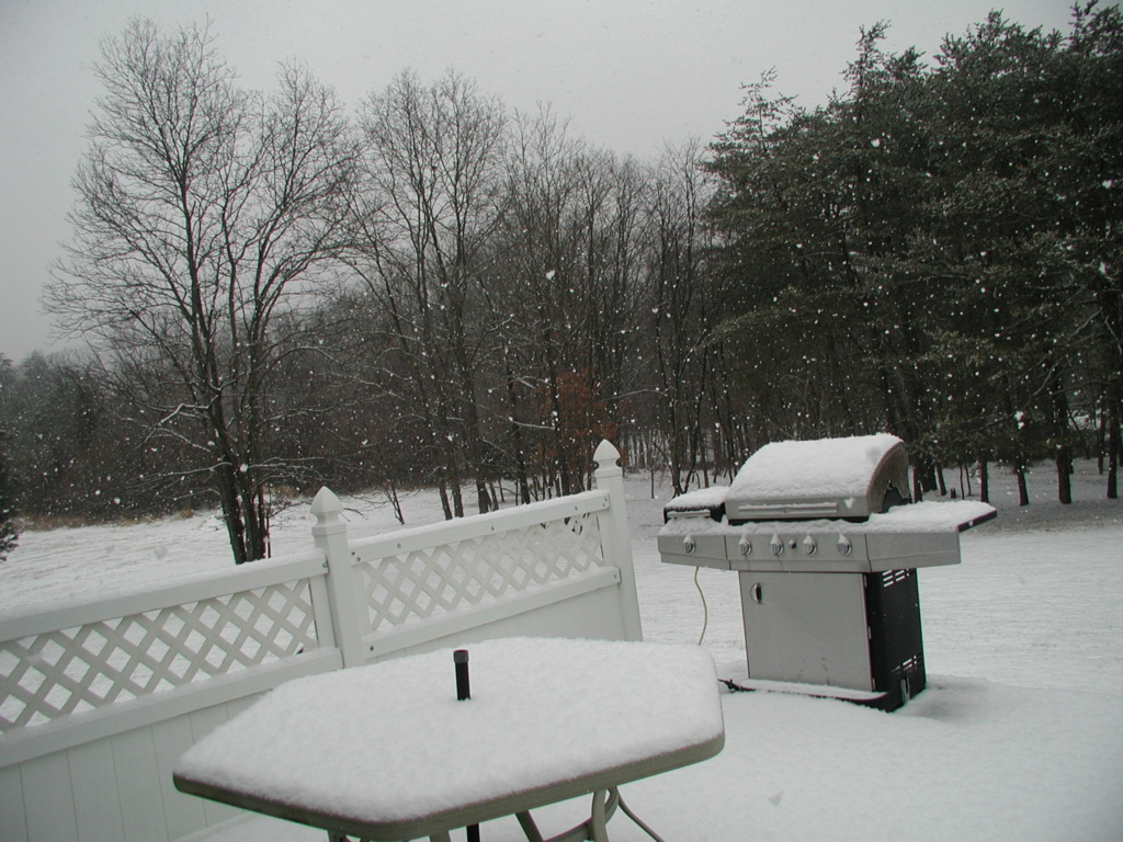 Here we go again.....snow, sleet, bomb cyclone? P1014796