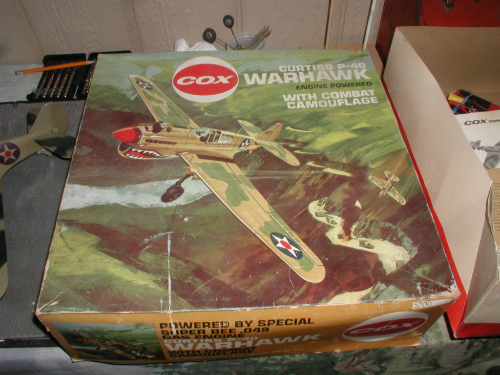 Cox P-40 Warhawk - Tomahawk, Kittyhawk, Thimble drome etc. etc. P1017987