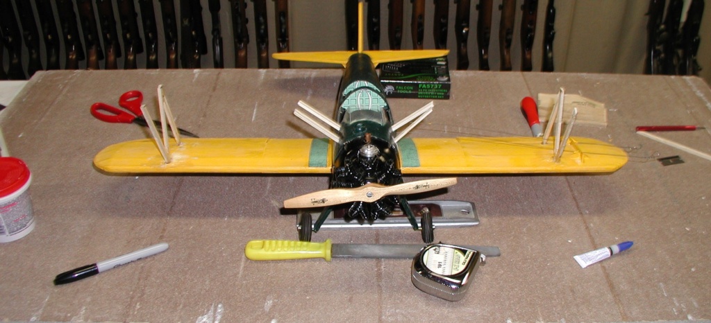 Biplane struts and covering. Pt-19_20