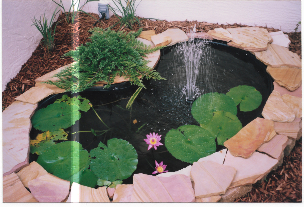 COXADOODLEDO Scan_228