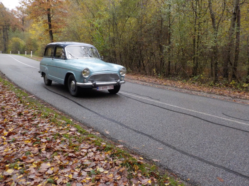 133e Rendez-Vous de la Reine - Rambouillet le 17 novembre 2019 Dscn5831