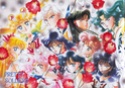 Sailor Moon Sailo139