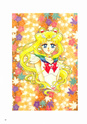 Sailor Moon Sailo222